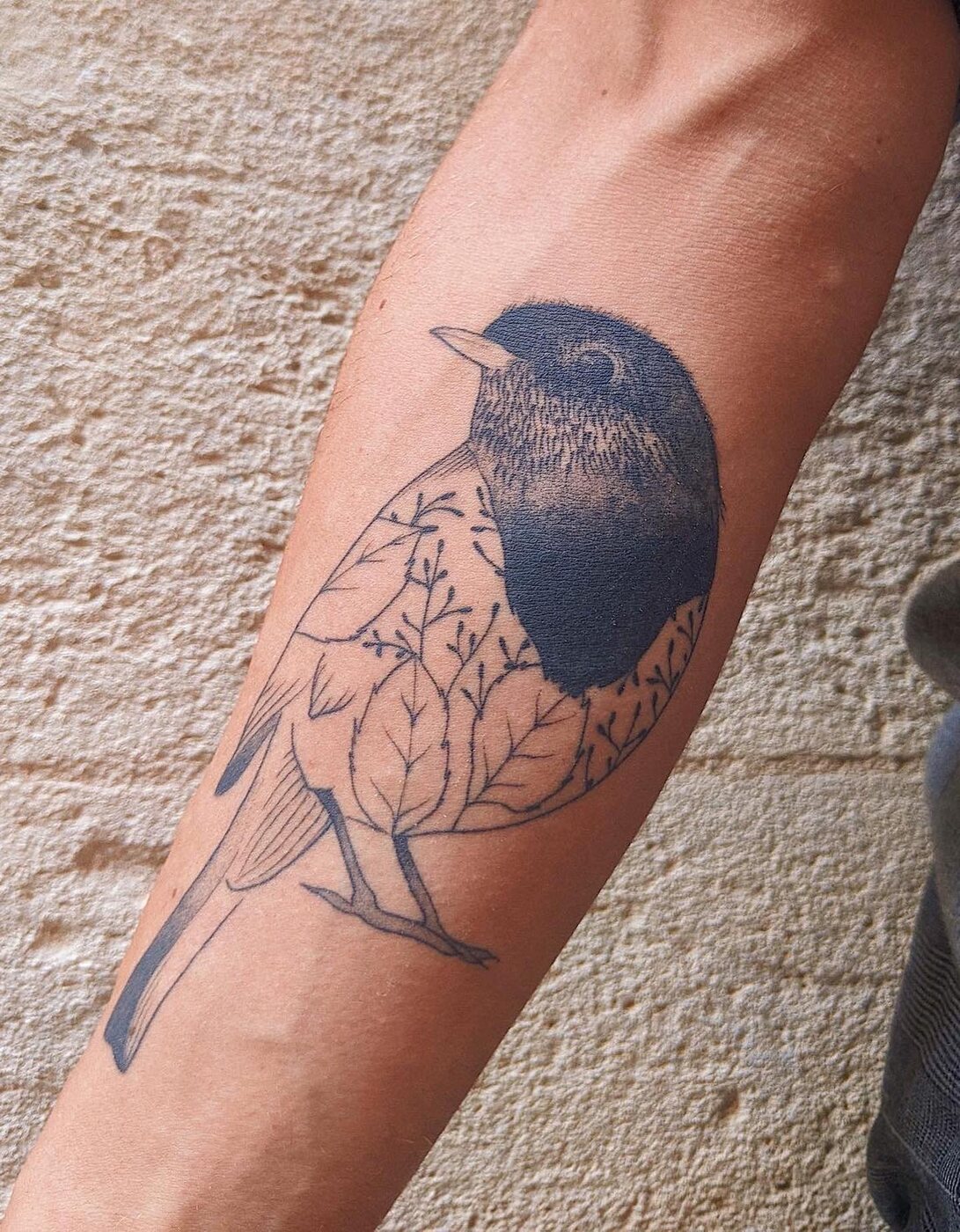 Tatouage fine line d'un oiseau sur l'avant-bras