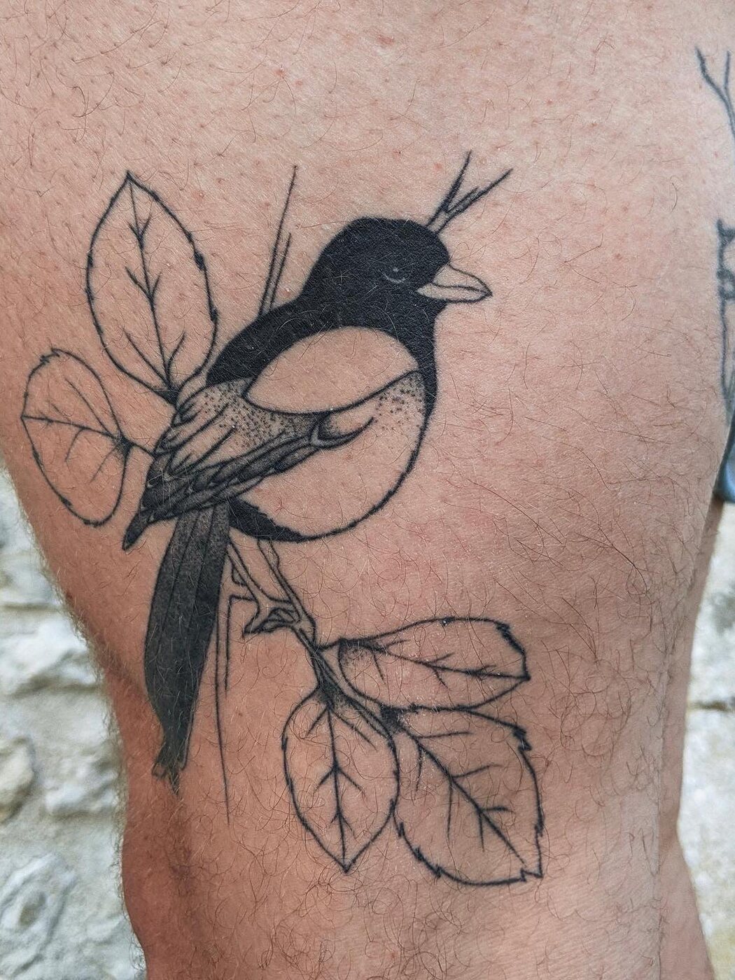 Tatouage fine line d'une pie et de végétaux
