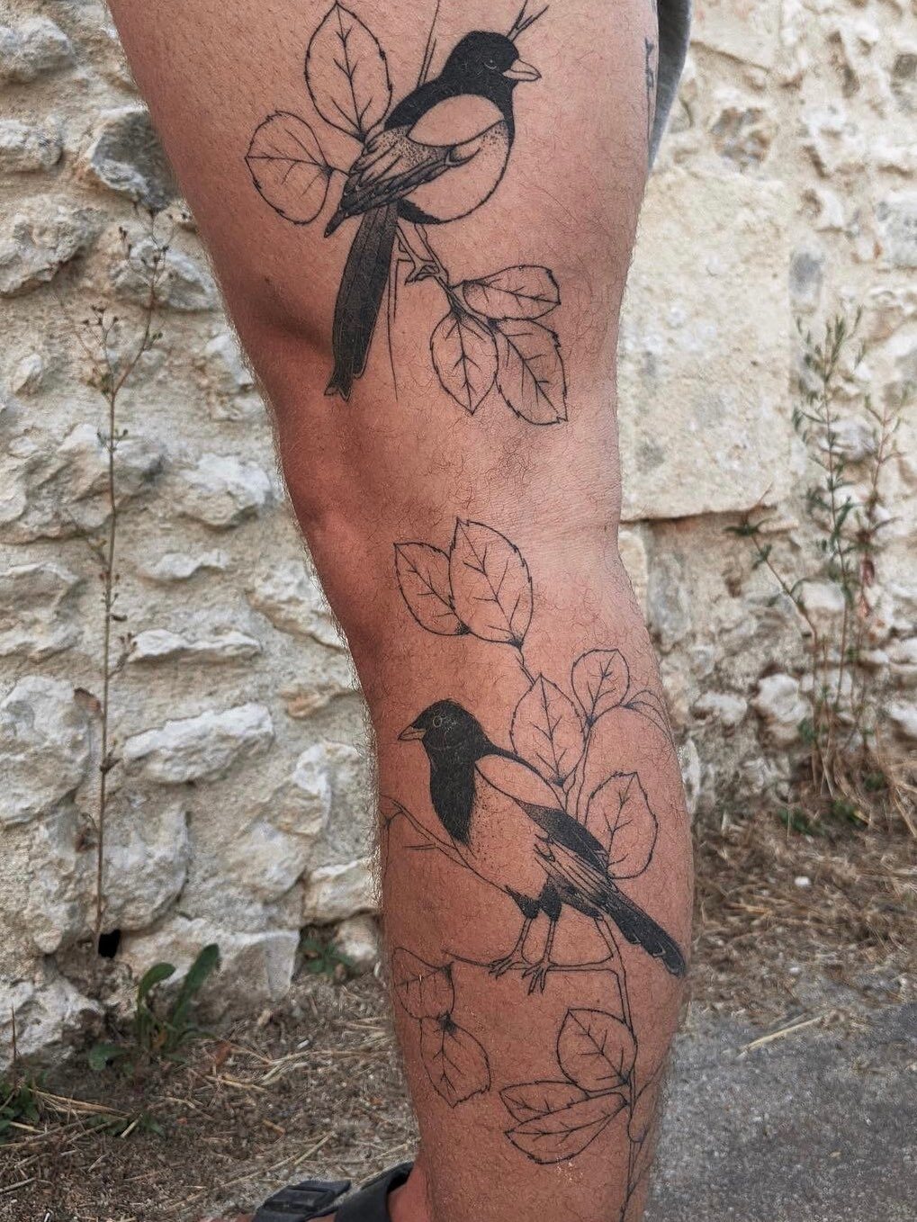 Tatouage fine line d'oiseaux sur une branche